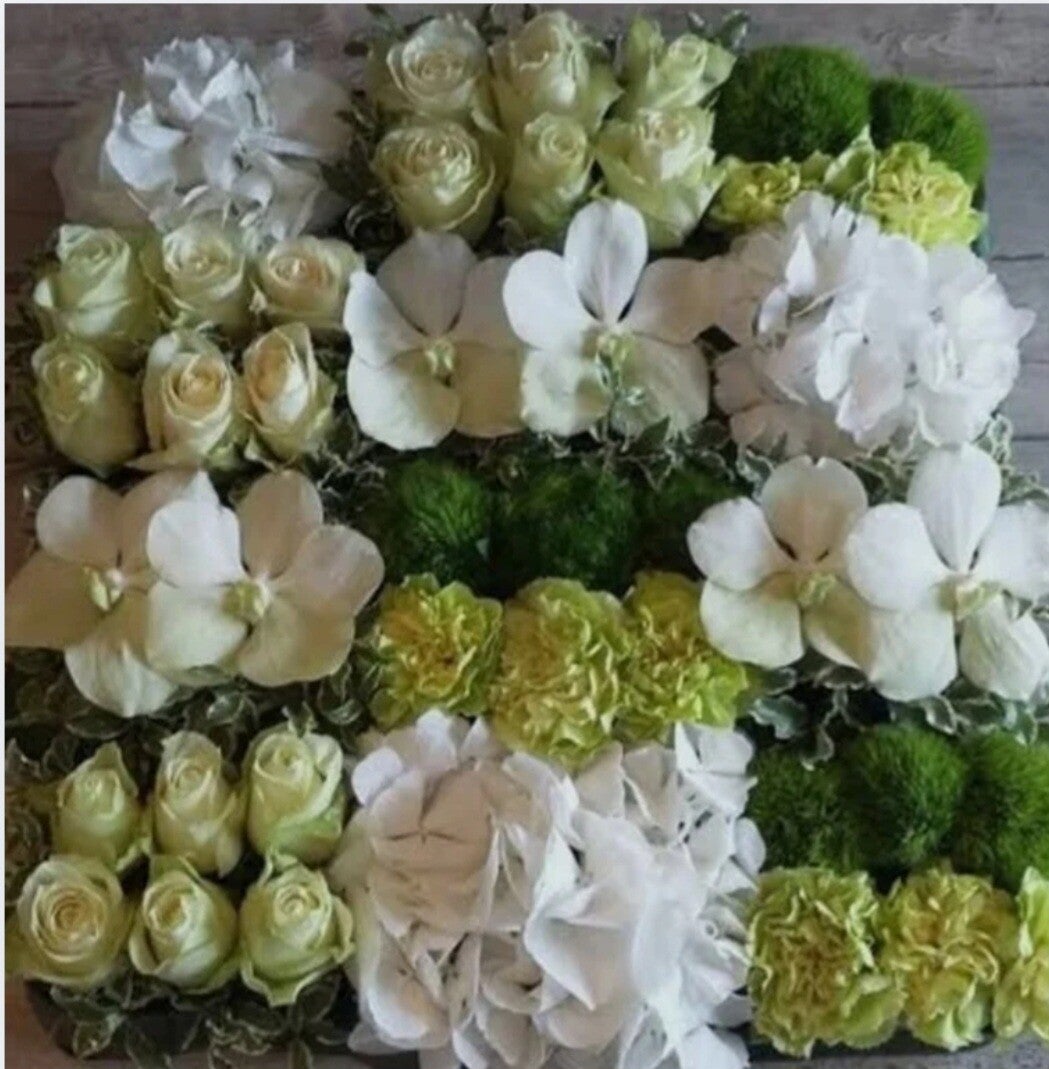 Nos Coussins Carrés