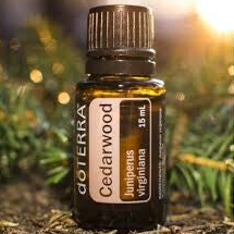 Cedarwood 15ML ( Verzorgd roos & jeukende hoofdhuid )