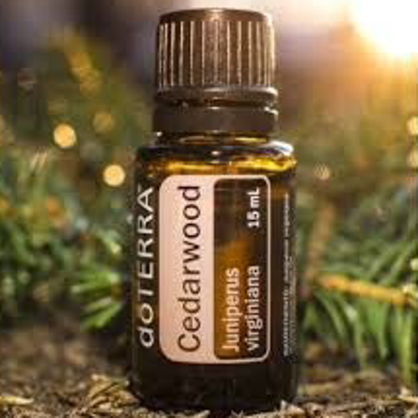Cedarwood 15ML ( Verzorgd roos & jeukende hoofdhuid )