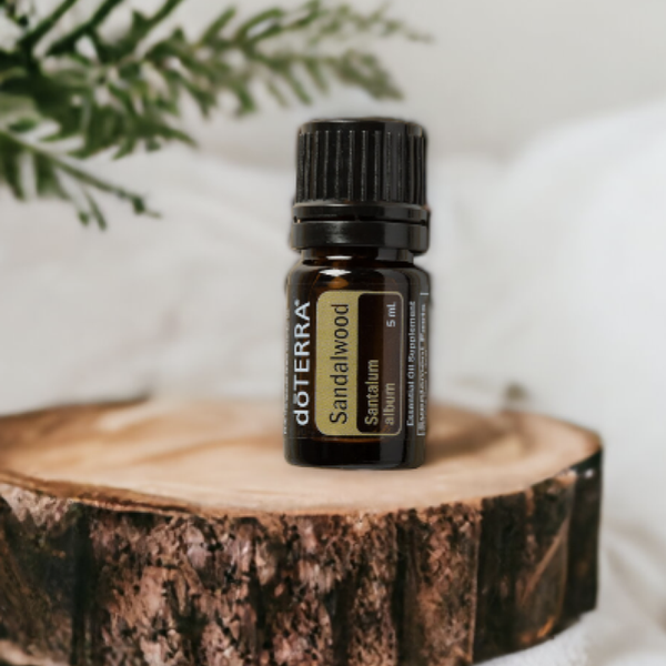 Sandelhout 5ML ( verzorgd droog/beschdigd haar )