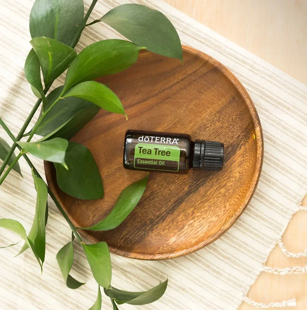 doTERRA tea tree 15ML (bescherming tegen luizen)
