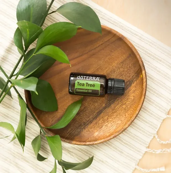 doTERRA tea tree 15ML (bescherming tegen luizen)