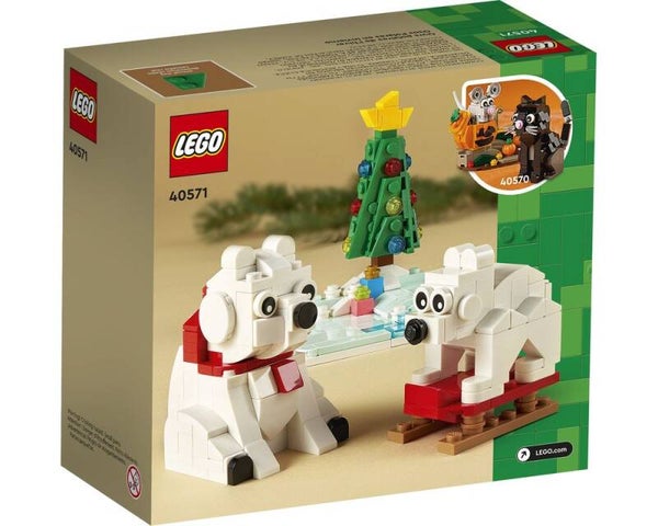 LEGO 40571 IJsberen in de winter