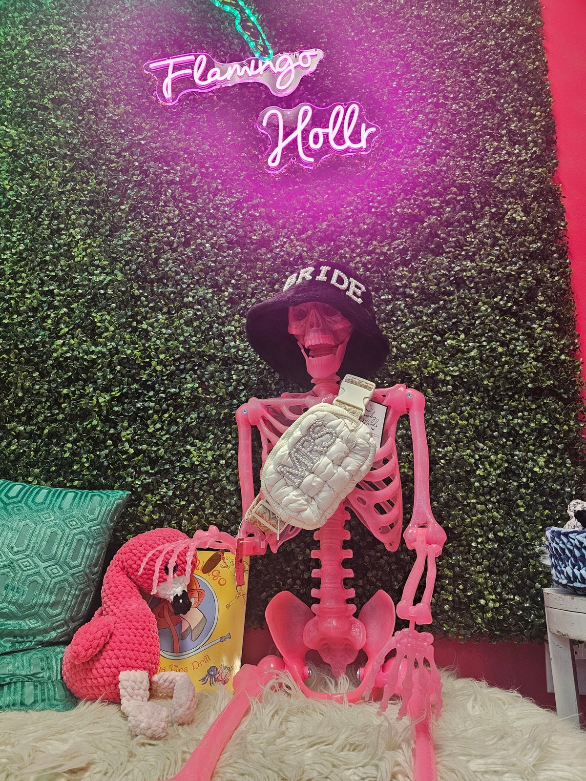 The Hollr cover