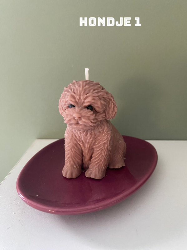 Hond kaarsje🐶💕