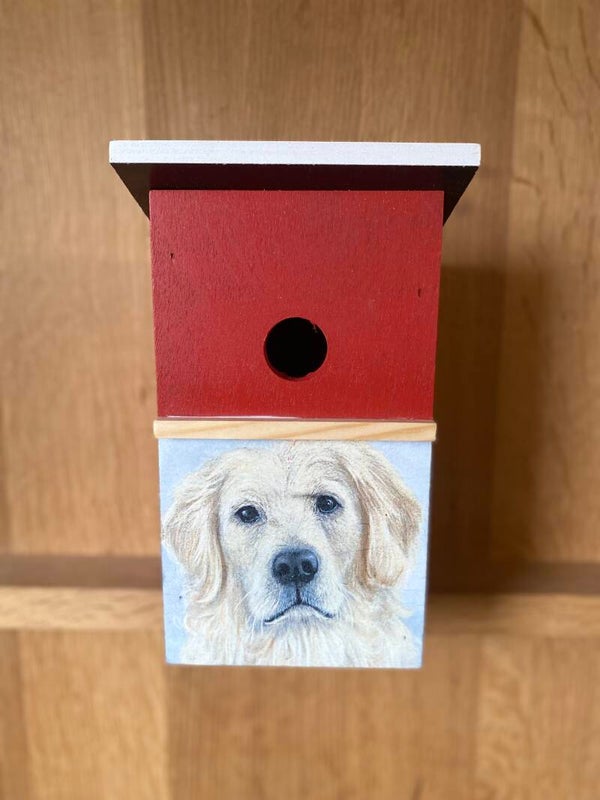 Nestkast blauw of rood