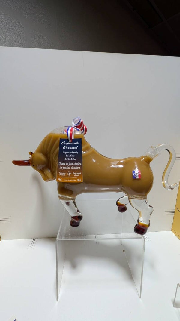 TAUREAU 110CL