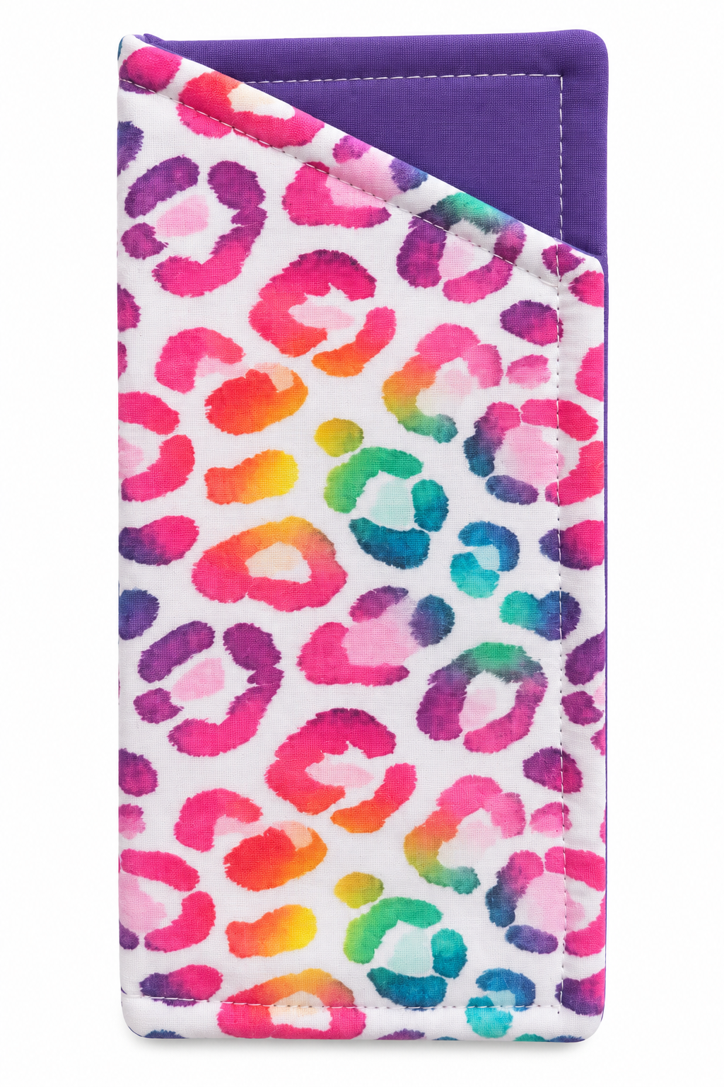 Rainbow leopard glasses case