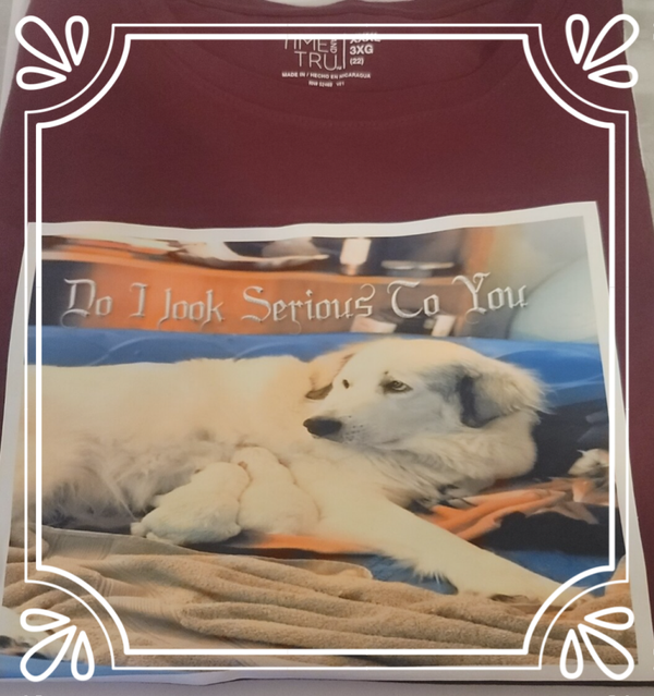 Customized Family Photos on Shirt by Order Only