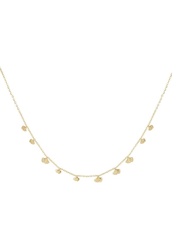 Ketting kleine schelpjes