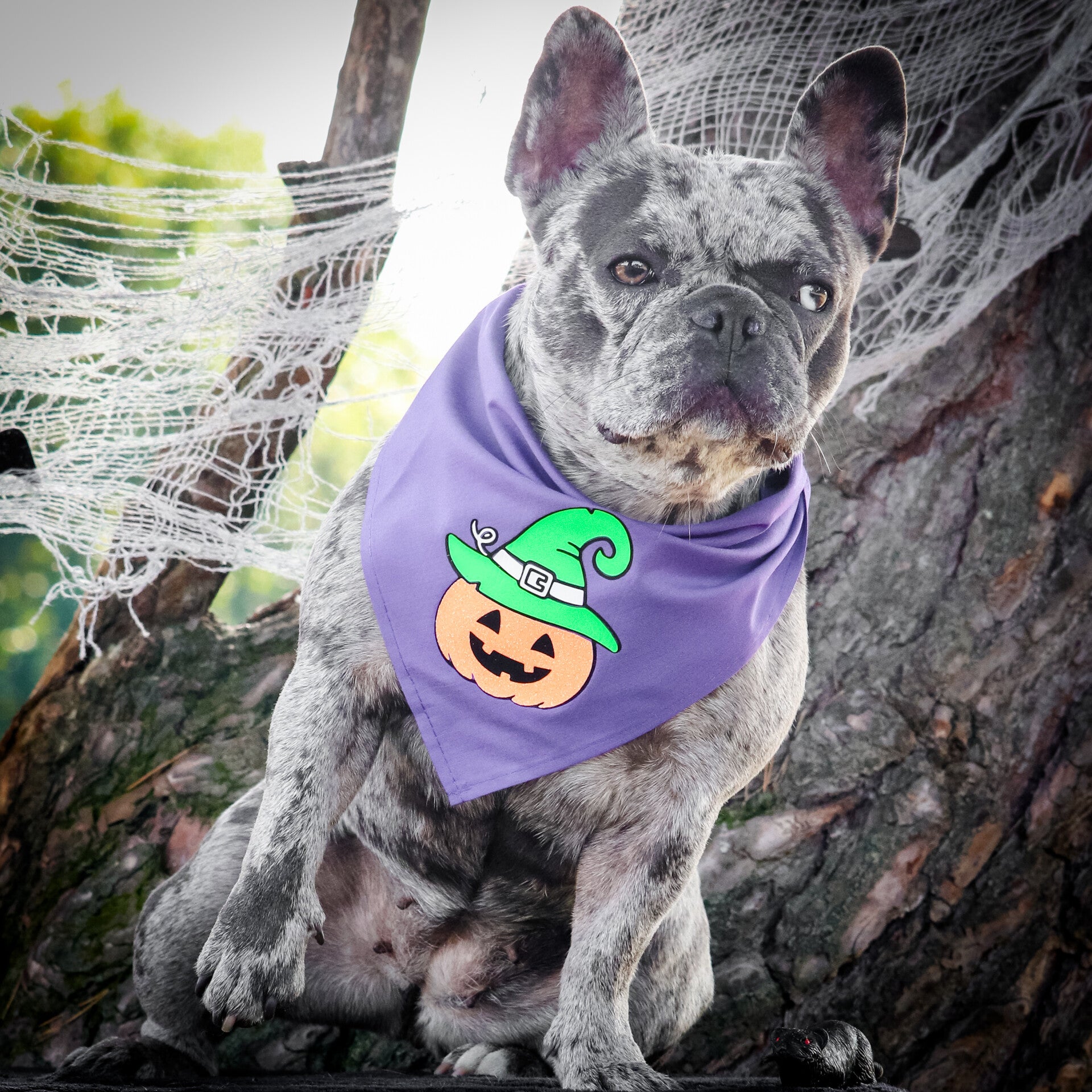 Glitter Halloween honden bandana Pumpkin