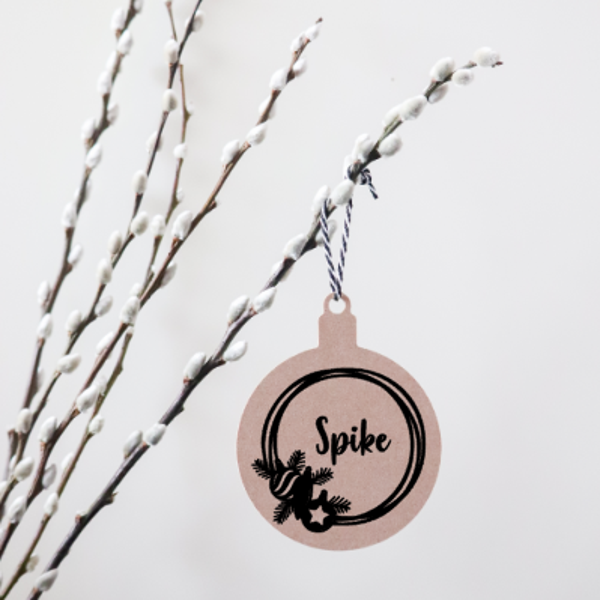 Kerstbal met eigen naam