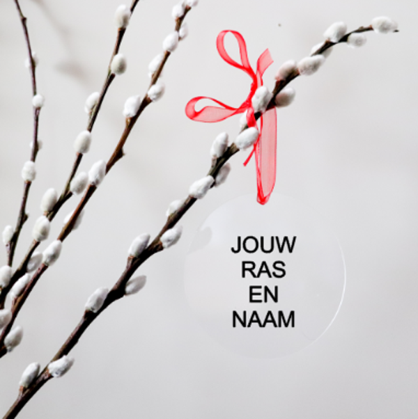 Kerstbal met eigen tekst of ontwerp