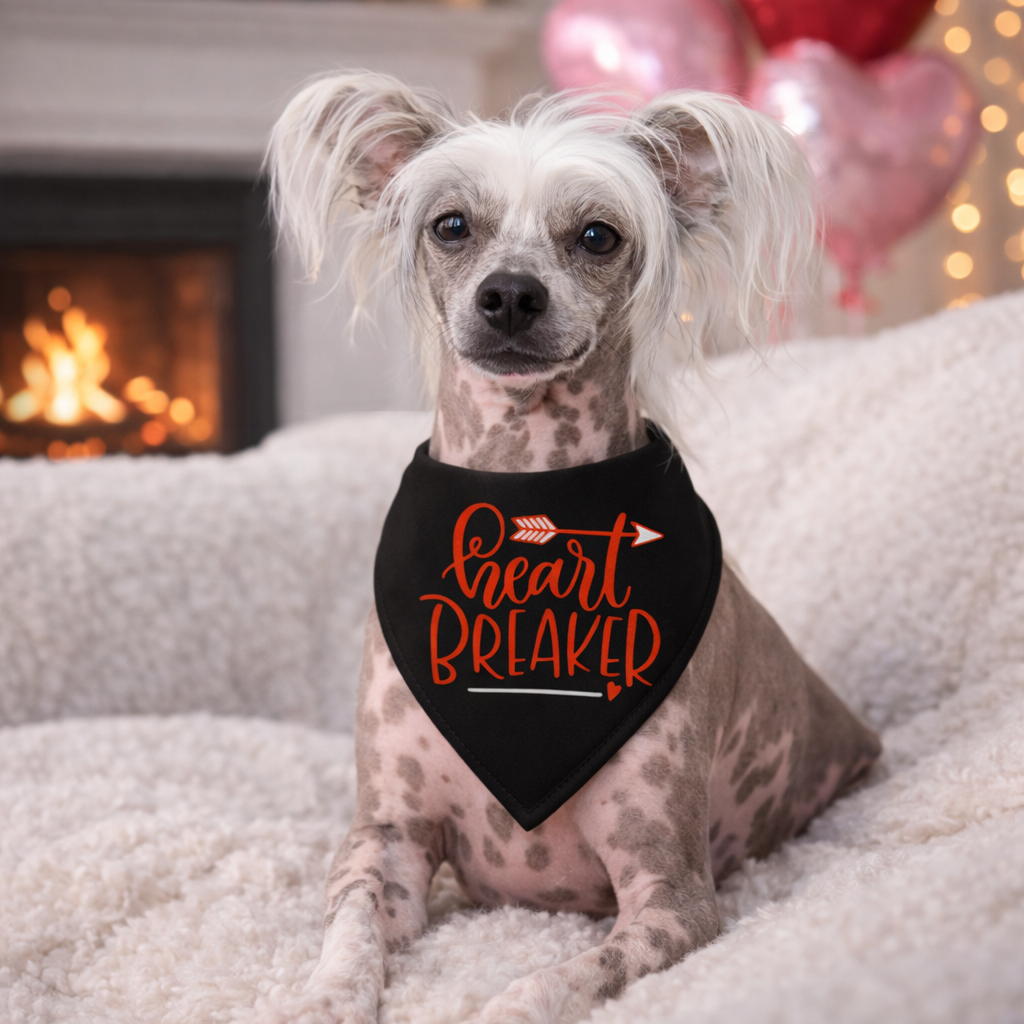 Valentijn Bandana voor honden Heart Breaker