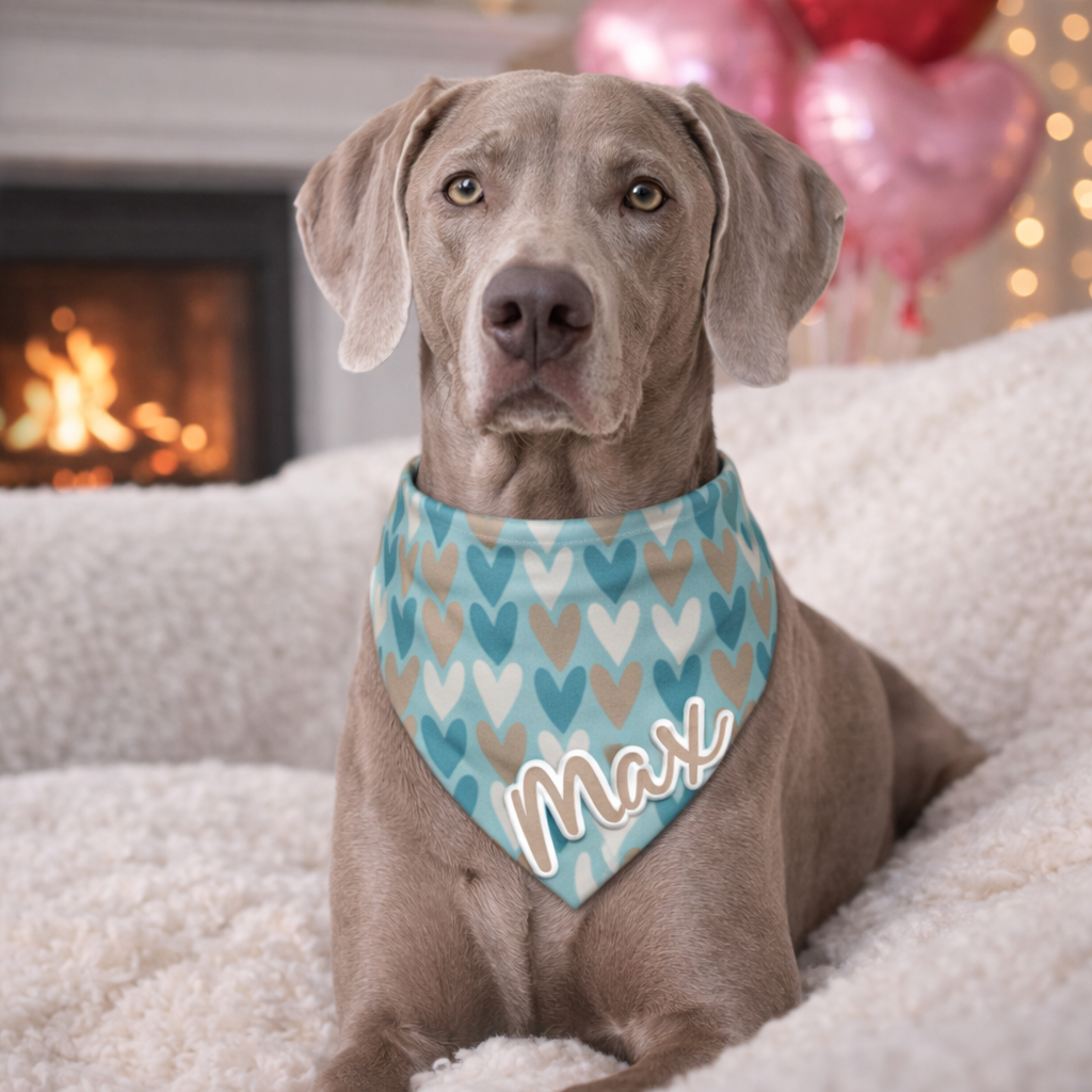 Valentijn honden bandana hearts