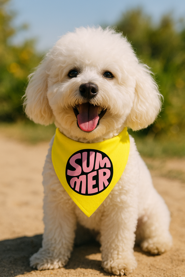 Zomer honden bandana Summer