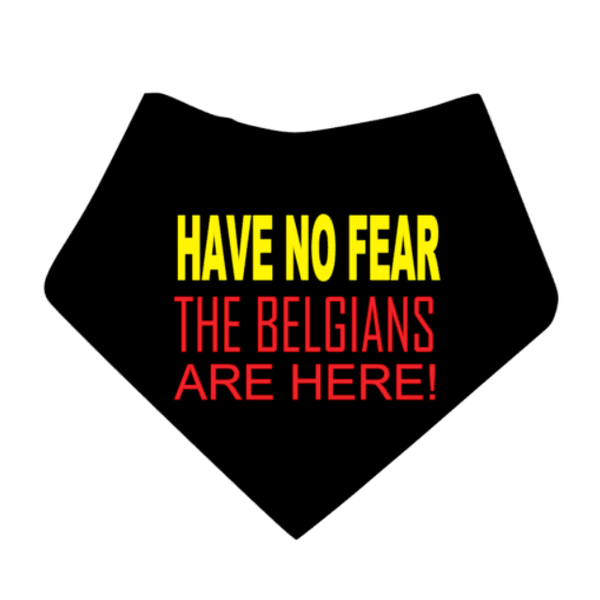 EK 2024 Belgie honden bandana Have no fear