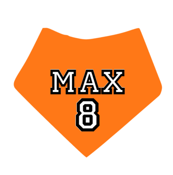 EK 2024 honden bandana met eigen naam en nummer