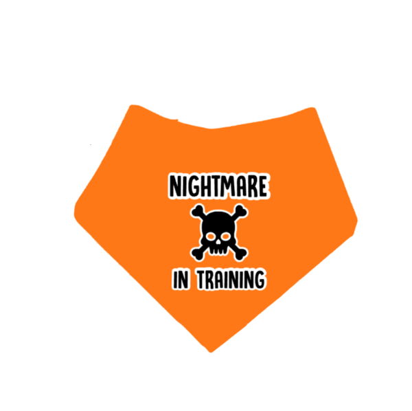 Glitter Halloween honden bandana Nightmare in Training