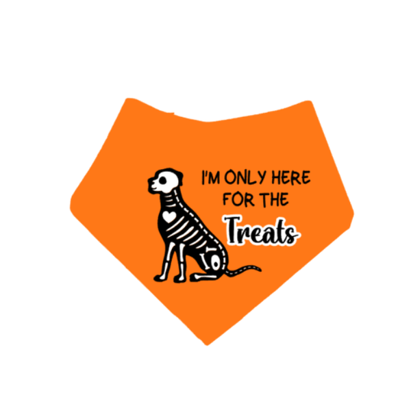 Halloween honden bandana I'M ONLY HERE FOR THE TREATS