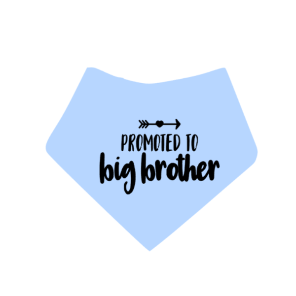 Honden bandana Promoted to big brother