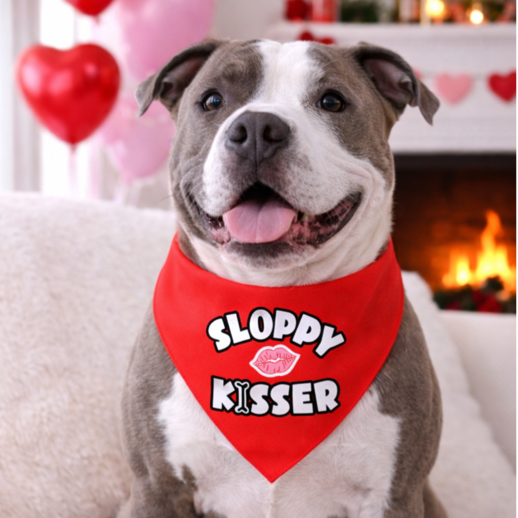 Valentijn Bandana voor honden Sloppy Kisser