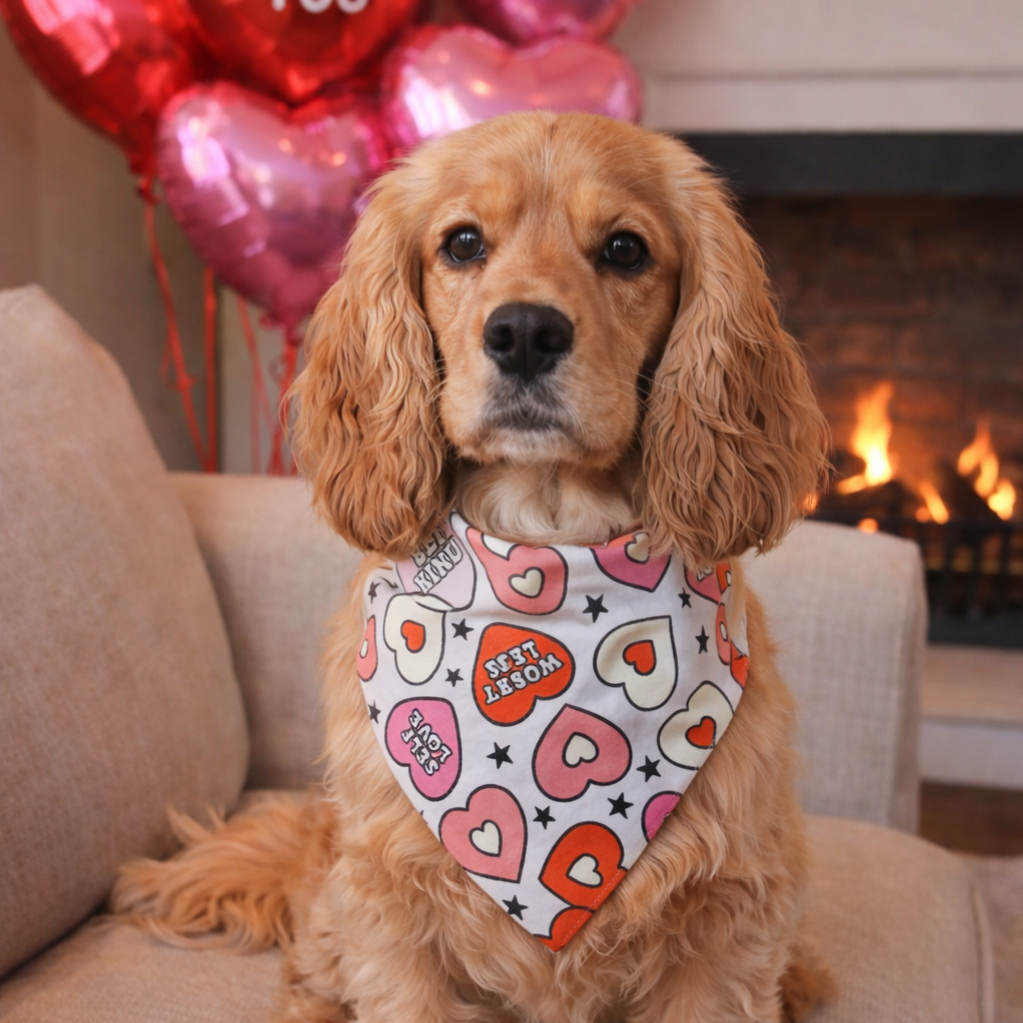 Valentijn honden bandana Self Love