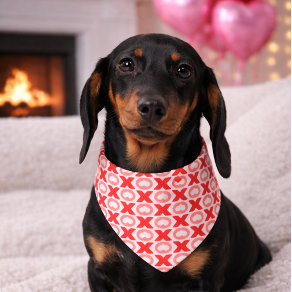 Valentijn honden bandana XOXO