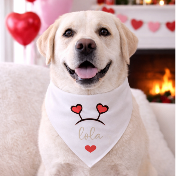 Valentijn Bandana voor honden met eigen naam