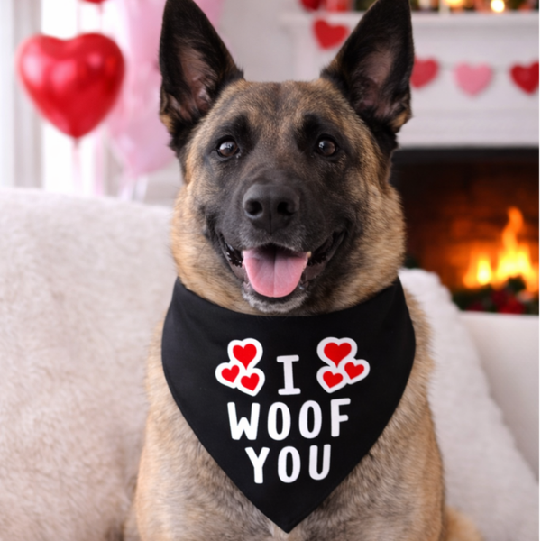 Valentijn Bandana voor honden I Woof You