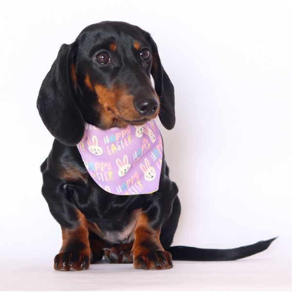 Pasen honden bandana limited edition