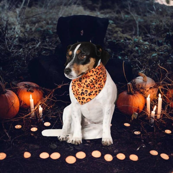 Halloween honden bandana WILD THING limited edition