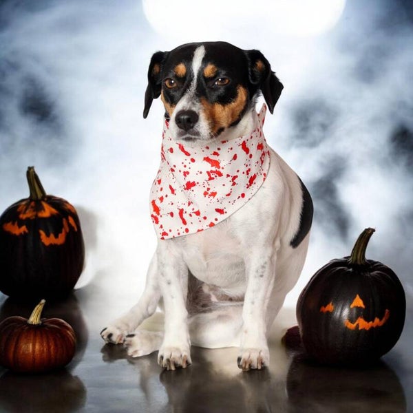 Halloween honden bandana BLOODY limited edition