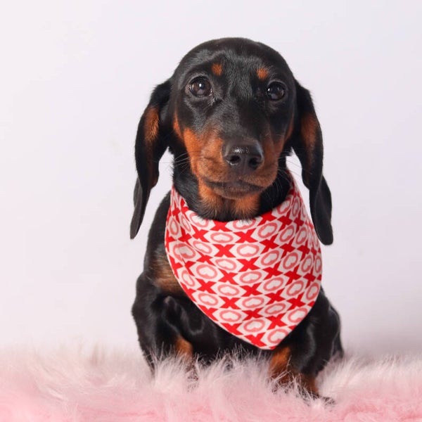 Valentijn honden bandana XOXO