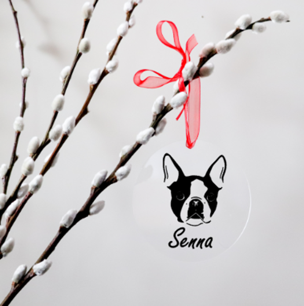 Kerstbal met eigen ras en naam van plexi glas