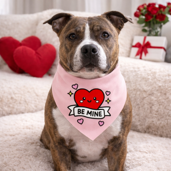 Valentijn Bandana voor Honden Be Mine
