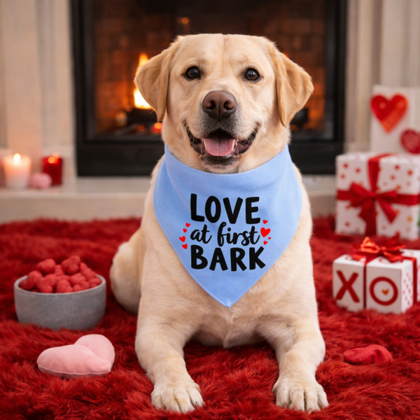 Valentijn bandana voor honden Love at first bark