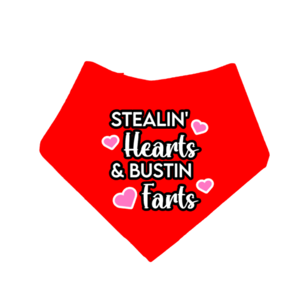 Valentijn honden bandana Stealin hearts and bustin farts