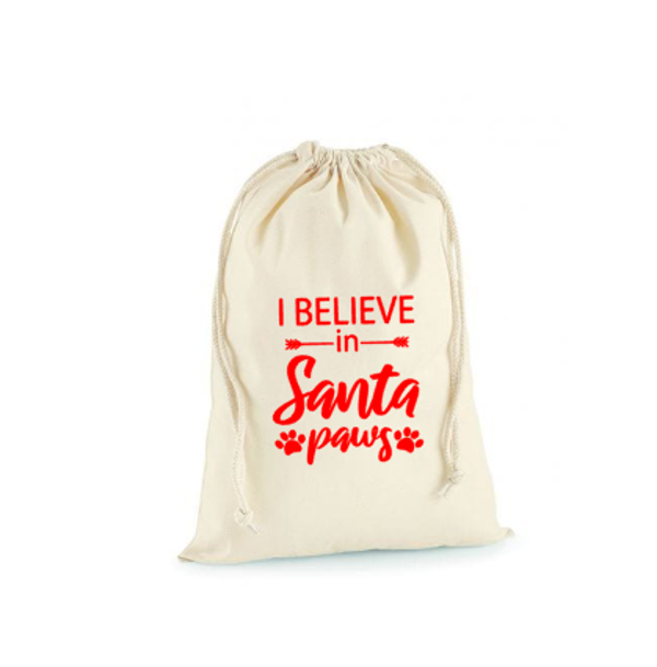 Kerstcadeau zak I Believe in Santa Paws Groot