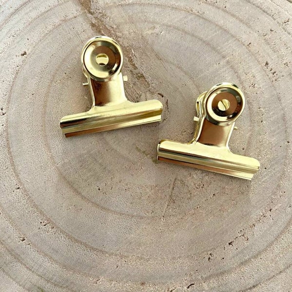 Clip goud (2st)