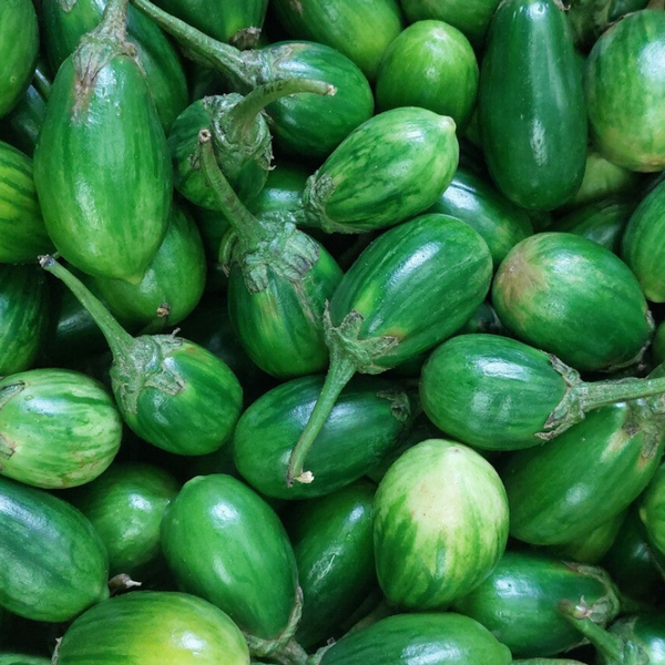 Aubergines Vertes Fraîches – 8kgs