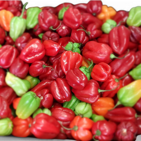 Piment Rouge Extra-Piquant Gourmet