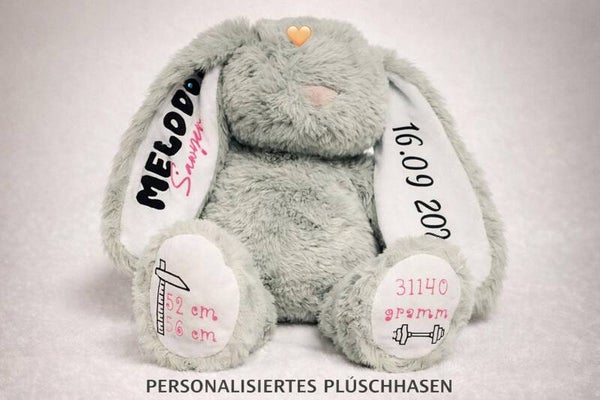 Personalisierter Geburtsdaten Plüsch