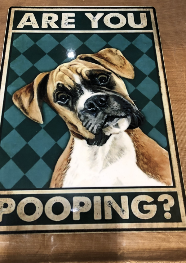 4002 - Echt???? (20x28 cm)