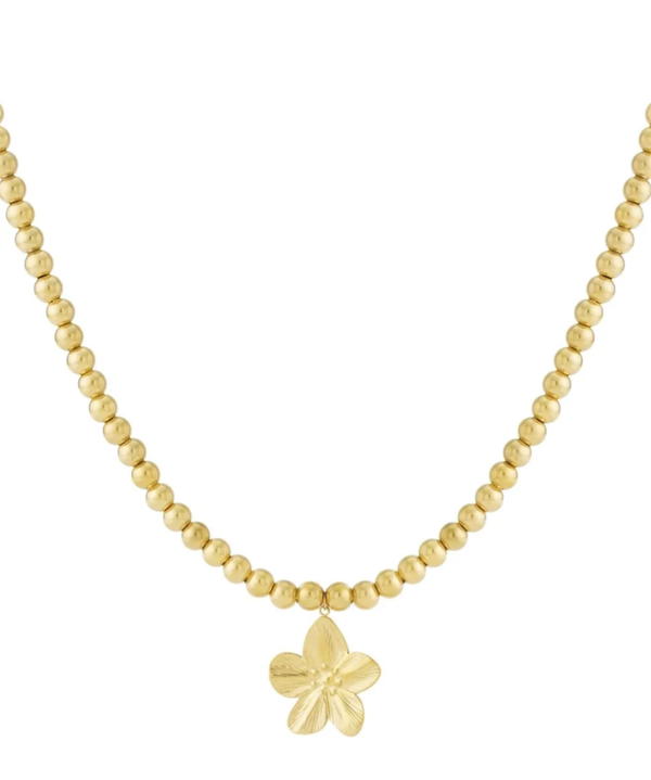 Spring Semester Gold