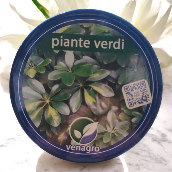 Concime per Piante Verdi Venagro 250 g