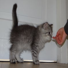 dsc00032jpg.jpg