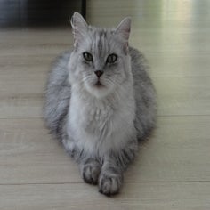 dsc04522-standard.jpg
