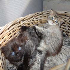 dsc00459jpg.jpg