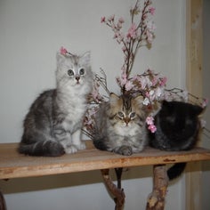 dsc01007jpg.jpg